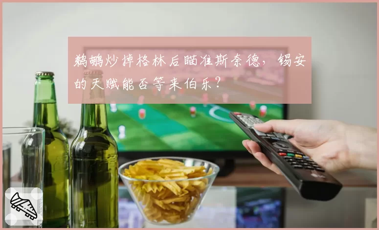鹈鹕炒掉格林后瞄准斯奈德，锡安的天赋能否等来伯乐？