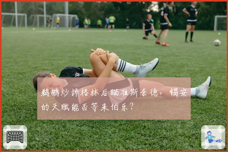 鹈鹕炒掉格林后瞄准斯奈德，锡安的天赋能否等来伯乐？